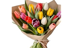 MORNING FLOWERS Spring Kaleidoscope Bouquet - Fresh flowers and vibrant mixed tulips are used for every celebration and memorable occasion, Floral Arrangement for Birthdays, Anniversaries, and Easter Ready to Display