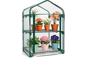 PRADICHI 2-Tier Mini Greenhouse for Indoor & Outdoor Use | Sturdy Steel Frame | Clear PVC Cover | Perfect for Growing Vegetables, Flowers, Herbs & Seedlings