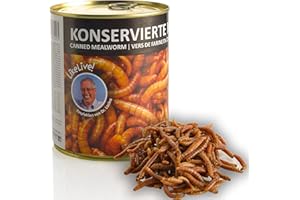 UGF UNDERGROUND FOOD UGF - Vers de farine séchés de qualité supérieure - 490 g - Pour oiseaux, hamsters, hérissons, rongeurs, lézards, tortues - Sans conservateurs ni colorants