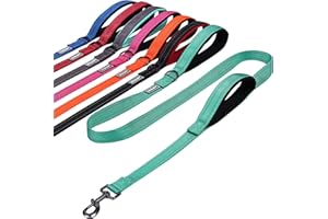 VIVAGLORY Verkehrsgriff Hundeleine, Hundeleine mit Zwei Gepolsterten Griffen, Starke Reflektierende & Metallhaken Trainingsleine für Hunde, Türkis