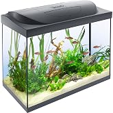 Tetra Starter Line 80 l akvaryum komple set &ndash; g&uuml;nd&uuml;z ve gece lambası LED aydınlatma, i&ccedil; filtre, ısıtıcı, balık yemi ve su haz