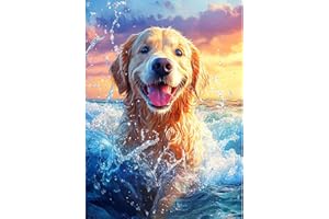 CEOVR Diamond Painting Kit Completo Golden Retriever 5D Diamond Painting,Diamond Painting Adulto,30x40 cm Pittura Diamante,Cane che Gioca Diamanti Painting,Painting Diamond 5D