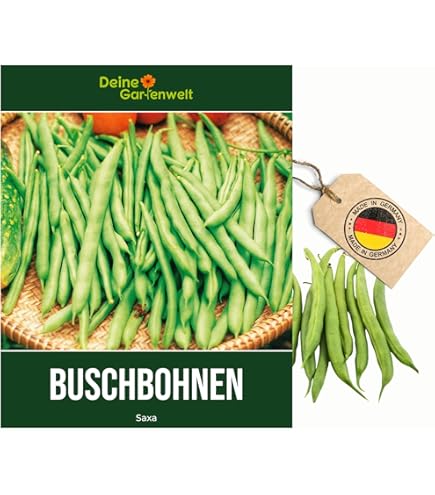 Buschbohne - Kidneybohne - Canadian Wonder - samenfeste Sorte - 50 Samen :  Amazon.de: Garten