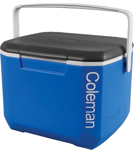Glacière Isotherme Atlantic 10L - Mini Réfrigérateur Portable