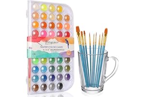 GYBOOM 48 Colors Watercolor Paint set, 10 Paint Brushes,safe and non-toxic,Portable Watercolor Painting Set for Beginners, Professional Artists and Kids Students Gift (48Color+10 Brushes)