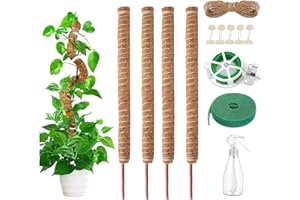AIQII 4 Pack 70cm Pflanzenstab Moosstab Monstera Rankhilfe Biegsame Moosstab Monstera Stab Pflanzstab Monstera für Kletterpflanzen Pflanzenname Pflanzzeit Pflanzenunterstützung