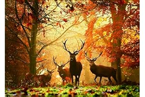 AMAZQI Jigsaw Puzzles 1000 Pieces for Adults Difficult Hard Jigsaw Puzzles for Women Men Premium Cardboard Precise Interlocking Elk Autumn（28 x 20 Inch)