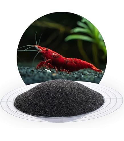 Aquarent/ zeeaquarium/ zoutwater aquarium/aquarium - Vissen | Aquaria en Toebehoren Aquarent/ zeeaquarium/ zoutwater aquarium/aquarium - Vissen | Aquaria en Toebehoren