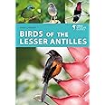 Birds of the Lesser Antilles: A Photographic Guide (Helm Wildlife Guides)