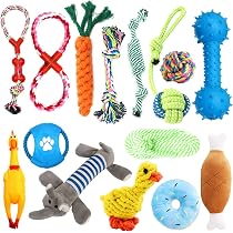 Jalousie Hundespielzeug-Set – 5-teilig Mit Plüschtier & Seil, Quietschend & Kaufsicher Für Kleine & Mittlere Hunde