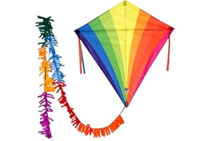 Wolkenstürmer Cerf-Volant pour Enfants - Eddy, Arc-En-Ciel, Cerf-Volant monofil pour Enfants à partir de 3 ans