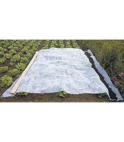 HaGa Bâche Anti-Gel Non-Tissé 19 G/m² – Protection Respirante Plantes 1,6 M × 20 M, Pour Légumes, Semis, Tomates, Salades