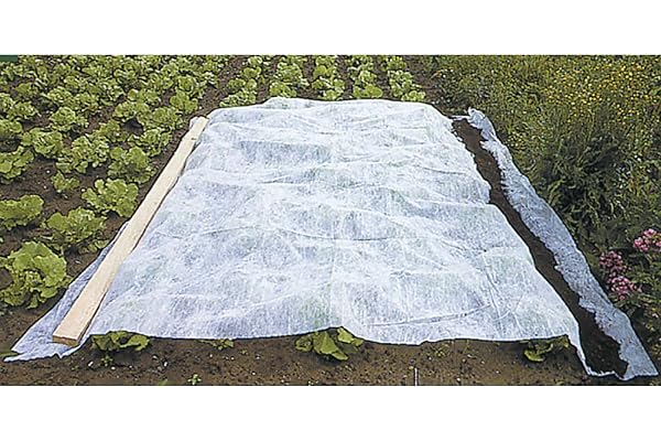 WERKA PRO Voile d'hivernage Blanc 30g/m2 2 x 10 m