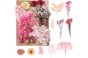 DISNACE Hermosas Flores Secas Naturales - Set de Flores Preservadas para Manualidades, Decoración DIY, Incluye Variadas y Exquisitas Flores Naturales
