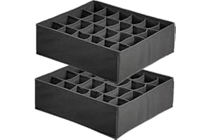 TLOXO Organizer cassetti, Set di 2 Armadio Divisori Pieghevole Storage Box, 24 Scompartimenti Organizer Armadio per Biancheria Intima Calze, fazzoletti e Cravatte