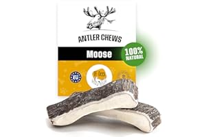RF - Deer Bois d’élan, Cornes d'orignal pour Chien, XL, Hard, 120-180 g, 14-17 cm, Jouet à mâcher pour Le Plaisir et Les Soins dentaires, 100% Naturelles, Les Bois d'élan Les Plus durs