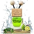 Vitalia Essentials AC Vent Car Air Freshener | Reed Diffuser Style | Strong Blend | Masks All Odours | Free Refills with all packs (FOREST)