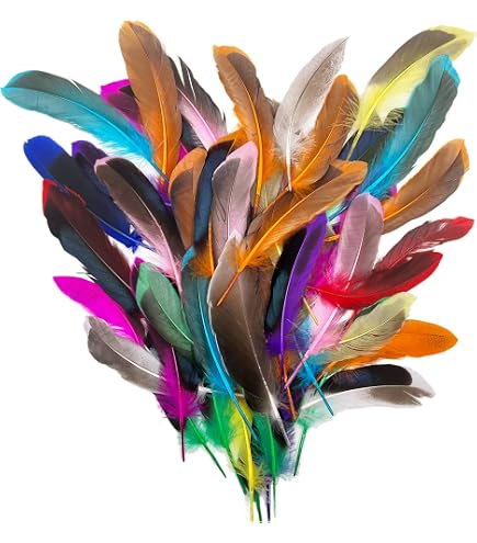 BelleVive Lot De 48 Plumes Naturelles Variées - 6 Styles Différents Pour Bricolage, Bijoux, Chapeaux, Mariages Et Carnaval