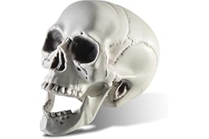Prextex Halloween 6.5-Inch Skull Ornament - Gothic Home Decor, Life-Size Skeleton Perfect for Indoor and Outdoor Decorations, Spooky Halloween Party Accessories, Realistic Human Skeleton Skull Replica