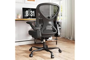 ZZH Ergonomic Mesh Office Chair with Adjustable Lumbar Support ＆ Flip-up Arms, Breathable Computer Home Desk Chair with 360 & Height Adjustment, Black