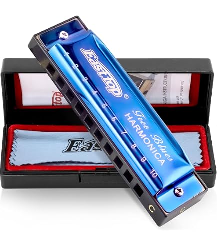 ARMONICA A BOCCA DIATONICA 24 FORI BLUES HARP CHIAVE REED ARGENTO IN DO E Sol  8022044250694 - 5