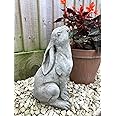 Rabbit Gazing Hare Stone Statue | Animal Bunny Outdoor Decoration Garden Ornament