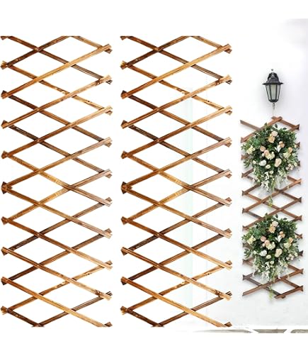 TREILLIS EXTENSIBLE AVEC FEUILLES - Catral Garden, spécialiste du