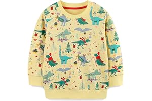 LANGUBABY Ragazzo Felpa Senza Cappuccio Natale Dinosauro Cotone Manica Lunga Casual Pullover per Bambini 1-7 Anni