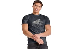 Hanes Koszulka męski National Parks Graphic T-shirt Collection