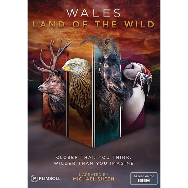 その他 Story of Wales [DVD] Story of Wales [DVD] その他