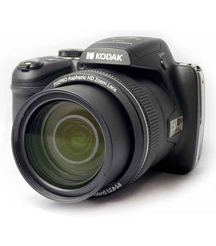 Kodak Pixpro FZ101 Negro : Amazon.es: Electrónica