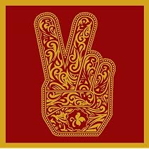 Stone Temple Pilots: Amazon.pl: Płyty CD i winylowe
