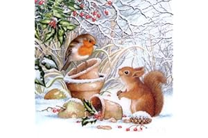 Huacan 5D DIY Diamond Painting Kits for Adults Animals Bird and Squirrel Full Square Drill Snow Scene Christmas Picture Crystal Rhinestone Embroidery Mosaic Art Home Wall Decor Gift 30x30cm