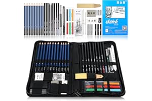 H & B H&B Sketch Pencils Set Kit de dessin d'artistes dans un étui à fermeture à glissière avec un tampon à croquis, tous les accessoires divers et d'art pour votre peinture (48 Piece Advanced Pack).