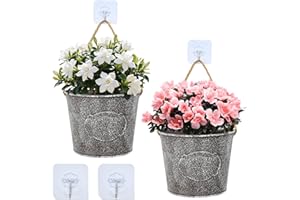 Zuxbolf Maceteros Colgantes de Pared,2 Piezas Macetas Pared Maceteros Colgantes de Metal con 4 Ganchos,Maceta de Metal Vintage Pequeña Macetero Decorativo para Colgar en Pared Exterior Interior Jardín