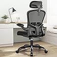 FelixKing Ergonomic Office Chair, High Back Ergonomic Chair with Adjustable Lumbar Support and Wheels, Swivel Mesh Chair with 3D Headrest, 2D Armrests (Black)