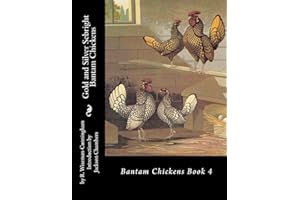Gold and Silver Sebright Bantam Chickens: Volume 4