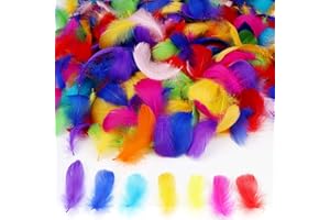 MWOOT 450+ Pcs Coloré Plumes De Nature, Artisanat Art Plume Décorative en Plume d'oie pour Capturateurs De Rêve Bandeau Fabrication de Bijoux De Mariage À Thème Festivals