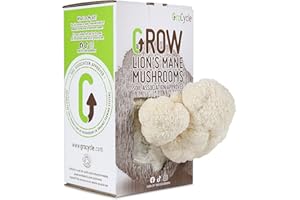 G GROCYCLE GroCycle Lion's Mane Mushroom Growing Kit | Mushroom Grow Kit | Gardening Gifts for Men, Women & Kids | Grow Your Own Kits | Fun to Grow & Delicious to Eat | Lions Mane Grow Kit | Mushroom Gifts