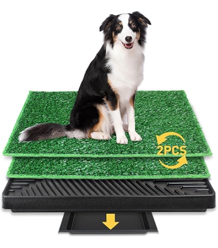 Tapis D'herbe Artificielle Réutilisable Lavable Chiens - France
