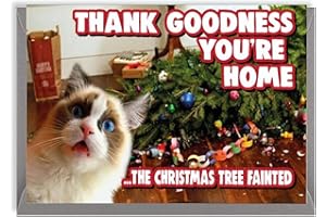 CHEEKY CHOPS Christmas Cards Funny Animals (Cat Christmas XM362)