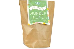 ‎DER ZUCKERBÄCKER Die vegane Wundertüte, bunt befüllt mit veganen Süßigkeiten, Nasch- und Überraschungsspaß, verpackt in einer schönen Geschenk-Tüte, süßes Mitbringsel (Kinder)-Geburtstagsparty