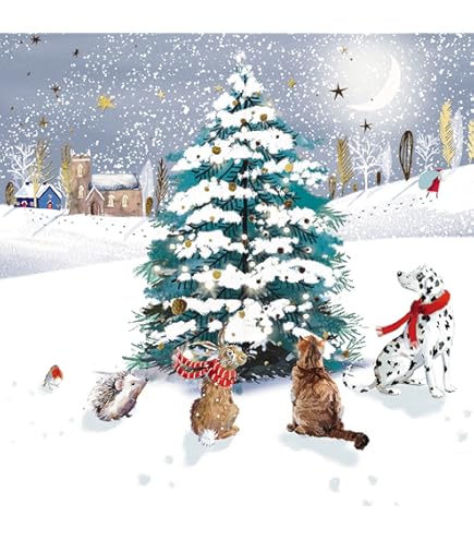 Lot De 6 Cartes De Vœux De Noël Caritatives Ling Design - Motif Renne & Chouette - 14x14 Cm