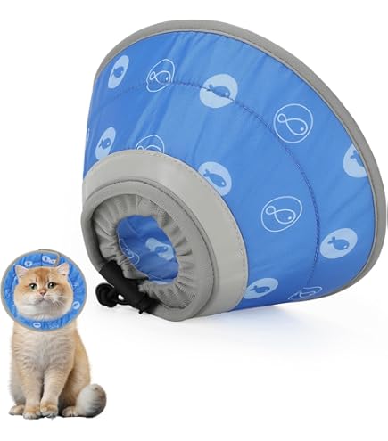 Beste de pil voor katten 2026 | Voor Katten