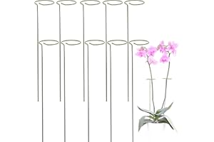 ODOXIA Pack De 10 Soporte Plantas y Flores Altas | Estacas De Jardín | Ayuda A Sus Plantas A Crecer | Jaula para Tomateras | Varillas De Plantas para Orquídeas, Amarilis, Peonías, Pimientos y Más