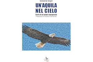 Un'aquila nel cielo. Storie di un laziale consapevole