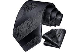 HISDERN Cravatta Uomo Tinta e Fazzoletto Elegante Classico Paisley Cravatta Set per il Matrimonio Festa Lavoro Laurea