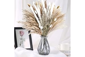 IS TYCONS 85 Pcs Pampasgras Getrocknet Natürliche Trockenblumen Deko DIY Trockene Blüten Strauß,Pampasgras-Bouquet Schilfblume Deko Ideal for Boho Wohnzimmer-Schlafzimmer-und Vasen