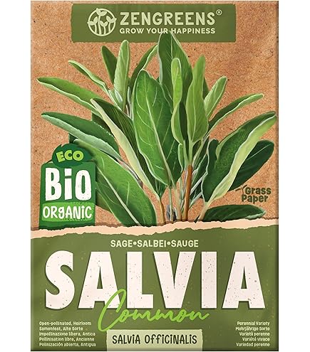 Semi Di Cannella - 55 Pz Per Coltivare La Tua Pianta Di Cannella In Casa - Foto 10