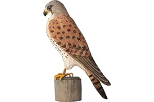 WILDLIFEGARDEN Wildlife Garden WG4470 DecoBird Turmfalke - Handgeschnitzter Dekorative Vogel aus Holz - Große Europäische Vögel